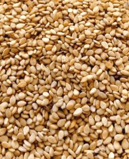 Humera Type Sesame Seeds